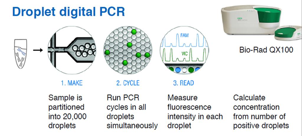 ddpcr