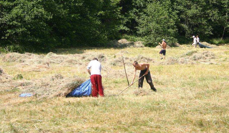 Péče o lokality a Pozemkový spolek Sagittaria Hlavním úkolem bylo a je zajištění odborné péče o biologicky významné lokality, které má Sagittaria v nájmu či ve vlastnictví, ale i o lokality ke kterým