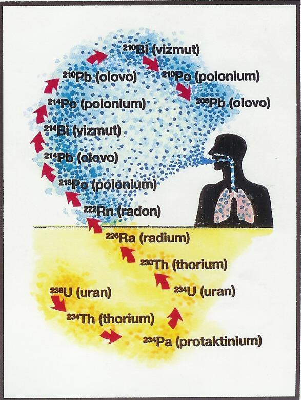 Radioaktivní látky jsou všude kolem nás