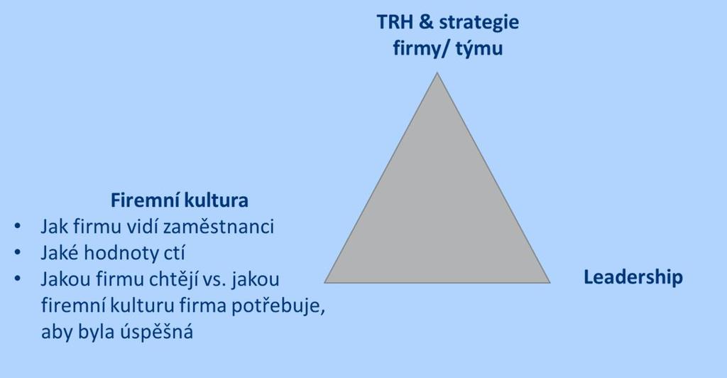 motivace jednotlivce nebo firmy Rozbor skupinového výstupu průzkumu hodnot 5 klíčových manažerů firmy.