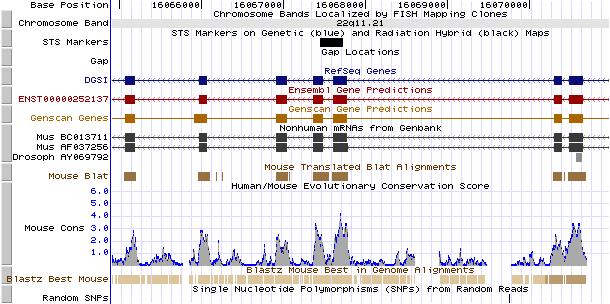 Browser www.ensembl.