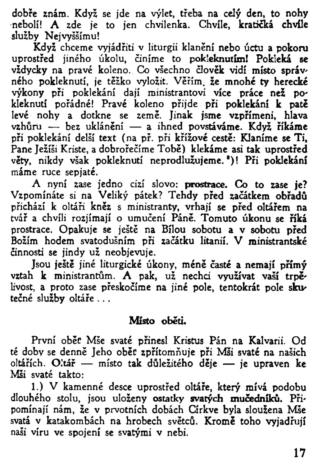 dobře znám. Když se jde na výlet, třeba na celý den, to nohy nebolí! A zde je to jen chvilenka. Chvíle, kratičká chvíle služby Nejvyššímu!