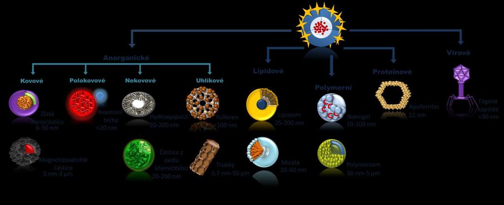 NANOTRANSPORTÉRY Enkapsulace nebo rozpouštění léčiv Cílené dopravování léčiv +