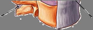 Napíná se při retroflexi a brání ventrálnímu vysunutí meziobratlových destiček. (5, 8, 36) Zadní podélný vaz (lig.