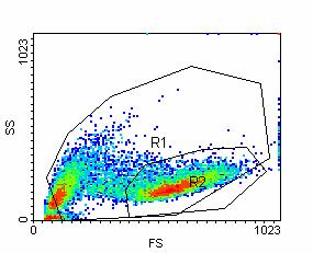 Flow Cytometry