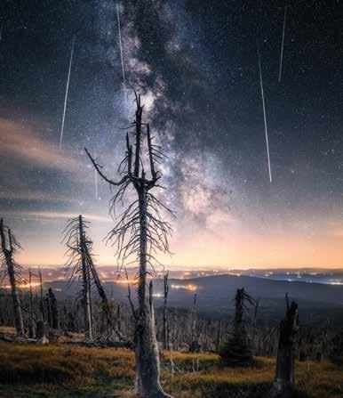 Činnost FSC ČR Propagace FSC Proběhl již šestý ročník fotografické soutěže Není les jako les.