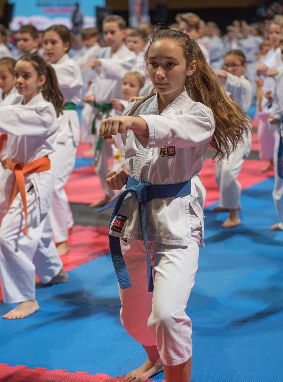 REPORTÁŽE MEZINÁRODNÍ TURNAJ V TRADIČNÍM KARATE SILESIA CUP 2019, BYTOM, POLSKO Česká asociace tradičního karate v rámci přípravy na Mistrovství Evropy 2019 v tradičním karate, které bude v říjnu v