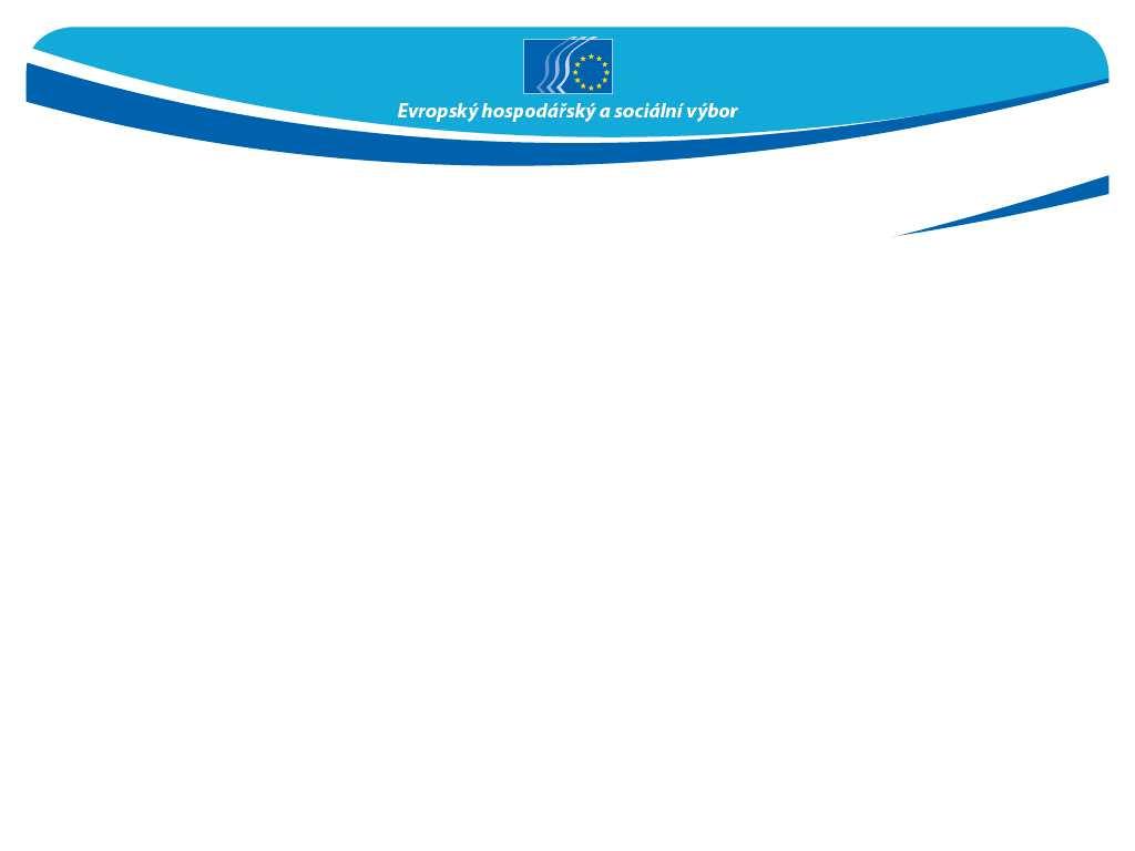 Víceletý finanční rámec a budoucnost kohezní politiky Evropské unie po