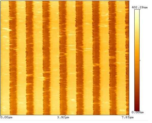 Obr. 20: Naskenovaná mřížka pomocí AFM.