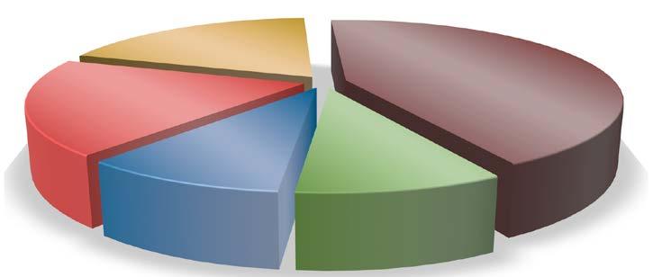 Podíl ekologických skupin lišejníků v celkovém počtu druhů (epifyty 71 druhů/70%, skalní 5 druhů/5%, terikolní 1 druh/1%, lignikolní 25 druhů/25%). Aps dew Sor Pic Fag Graf 4.