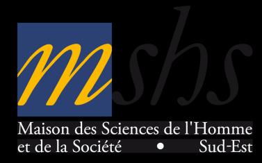 1 Tobias Scheer Directeur de Recherche au CNRS Directeur de la Maison des Sciences de l'homme et de la Société Sud-Est Université Côte d'azur www.unice.fr/scheer/ Nice, 20.