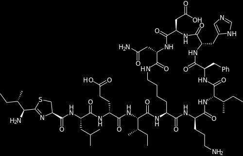 pevné, krystalické sloučeniny s vysokou teplotou tání, většinou rozpustné ve vodě amfotery ( - NH2 zásaditost COOH kyselost) biologicky nejdůležitější 2 AMK ( α AMK) základní stavební jednotka