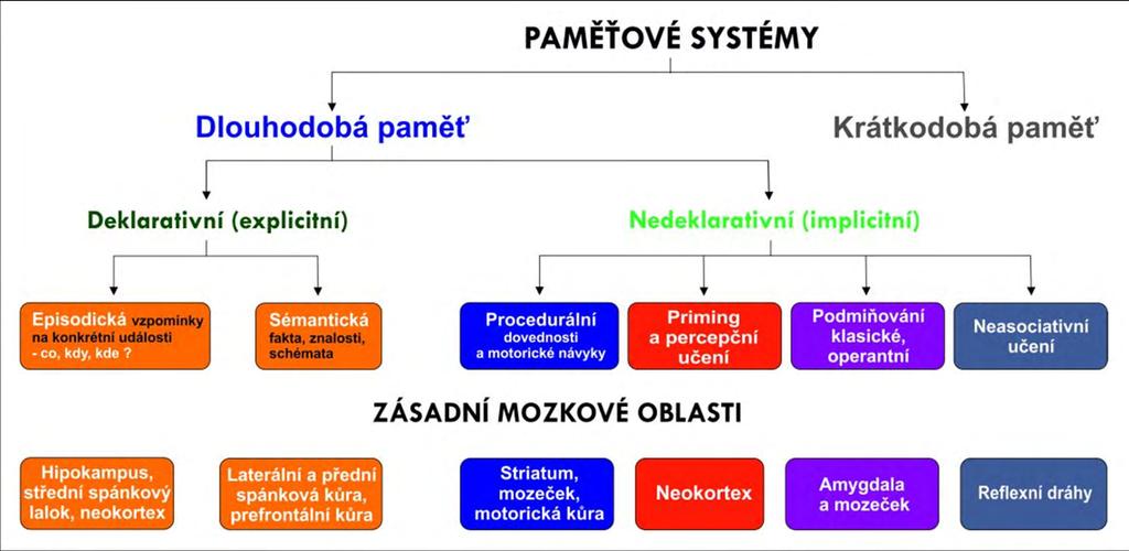 43/66 DĚLENÍ PAMĚTI