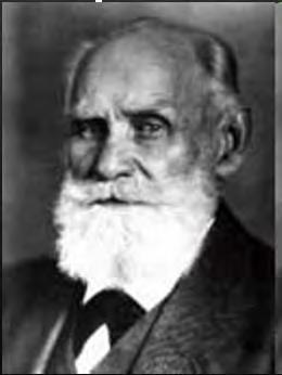 8/66 IVAN PETROVIČ PAVLOV (1849 1936) Nervový fyziolog se zaměřením na reflexní regulaci aktivity nebo chování V letech 1891 až 1900 prováděl