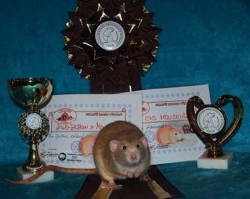Fotografie vítězných potkanů