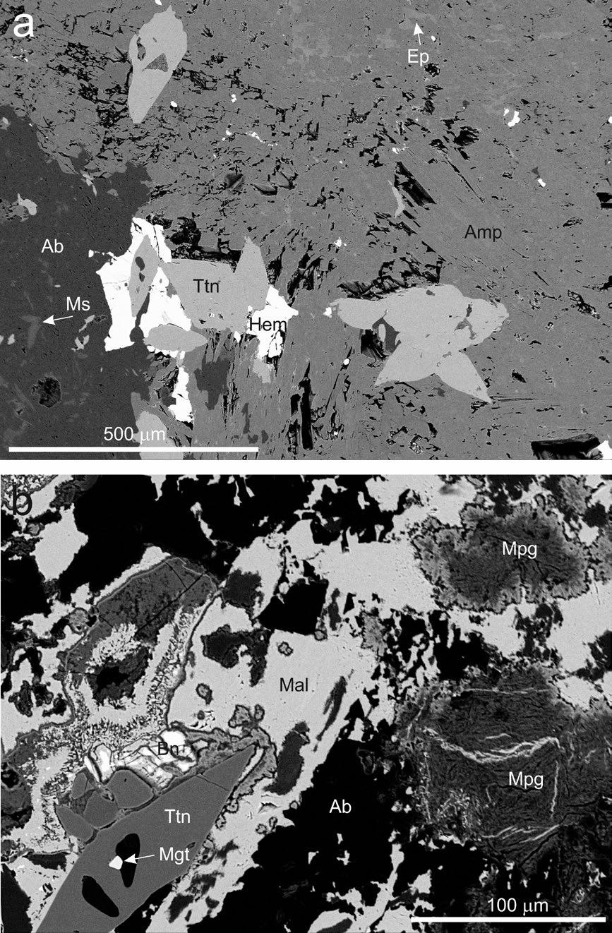 Bull Mineral Petrolog 26, 1, 2018. ISSN 2570-7337 (print); 2570-7345 (online) 81 z Markovic, publikované Vránou et al. (2016), mají obsah železa při spodní hranici rozsahu našeho datového souboru (6.