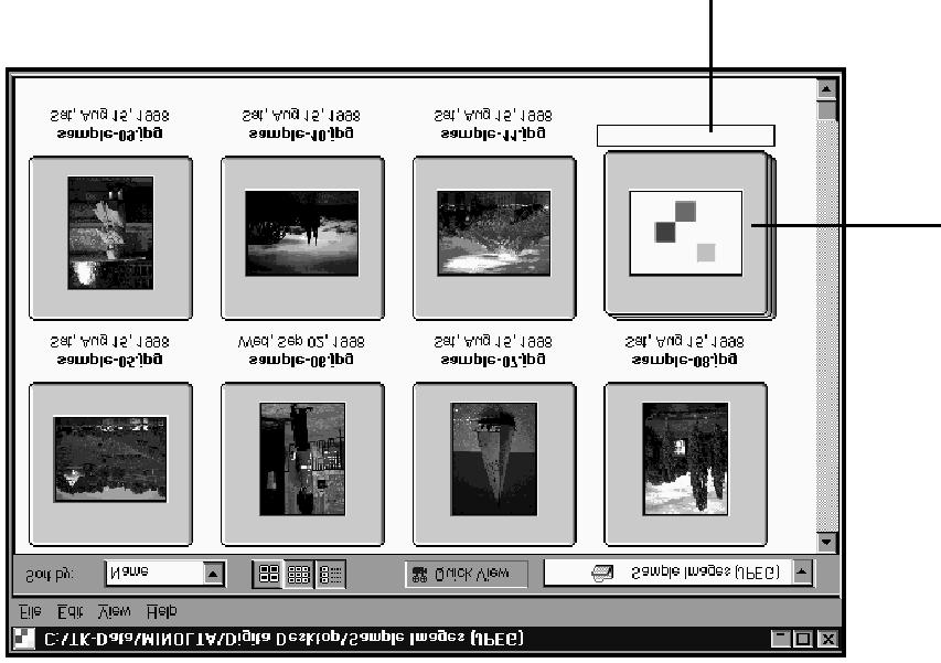 Více náhledů vyberete tak, že stisknete a přidržíte stisknutou klávesu Ctrl (Macintosh: Shift) a klepnete na požadované náhledy. 3.