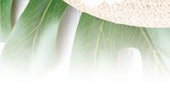 (bufetová snídaně, večeře výběr z menu ) 1x míchaný nápoj Piña Colada v kavárně LD Moravan nebo