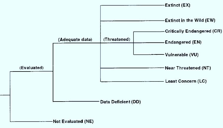 A1 Vyhynulé (EX) A2 Nezvěstné (pravděpodobně vyhynulé) A3 Nejasné případy vyhynulých a nezvěstných C1 Kriticky ohrožené (critically endangered = CR) C2 Silně ohrožené (endangered = EN) C3 Ohrožené