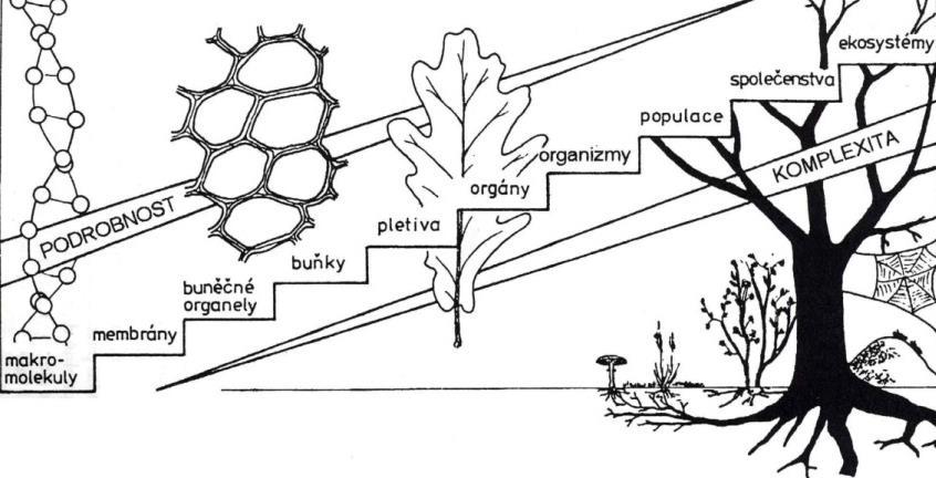 Hierarchické úrovně 1.