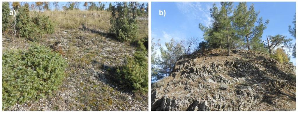 obr. 5: Typická stanoviště společenstva Toninio-Psoretum decipientis ve střední Evropě: a) vápencové skalky, Komjatná Studničná, SR; b) xerotermní svah s dominantním Juniperus communis, Nitrica, SR.