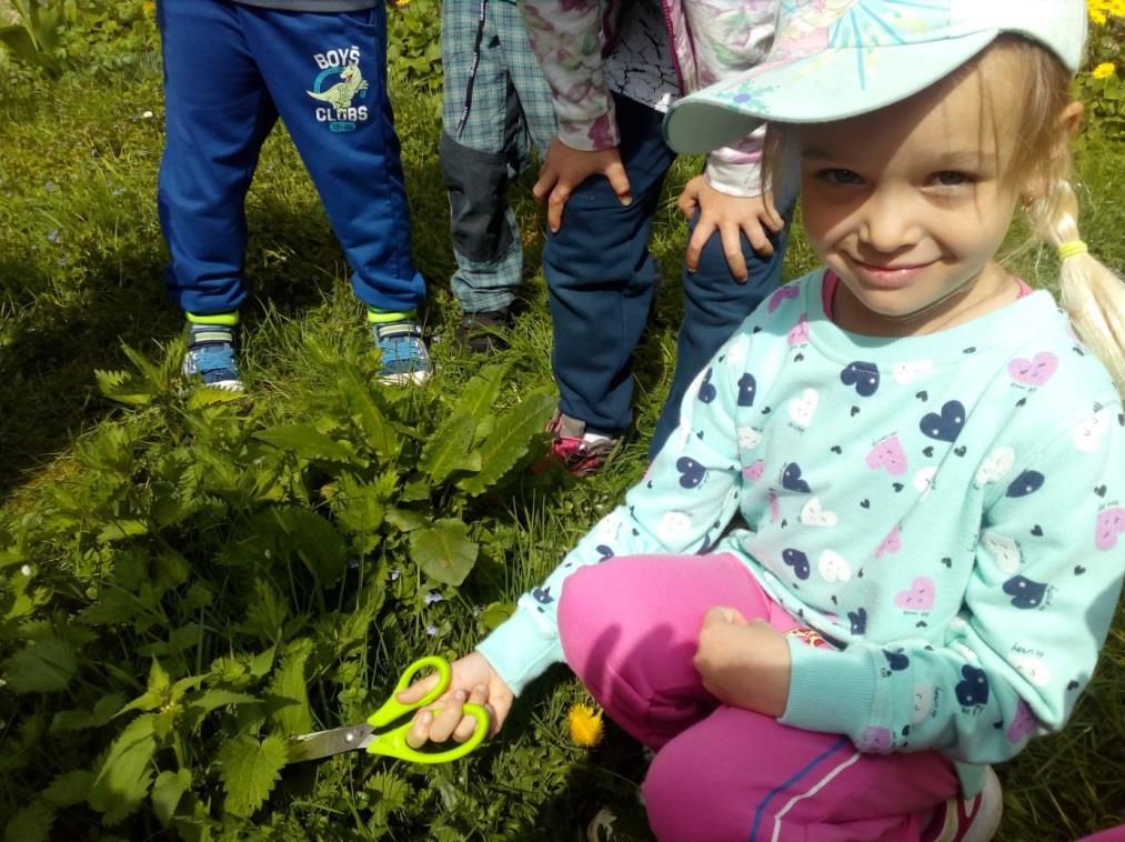 - ví, že není jedno, v jakém prostředí žije, uvědomuje si, že se svým chováním na něm podílí, a že je může ovlivnit Očekávané výstupy: Zvládat jednoduchou obsluhu a pracovní úkony, udržovat pořádek,