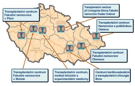 Obrázek 4 Mapa transplantačních center (Česká transplantační společnost, 2010) Studium historických dokumentů starých nyní jen 44 let ukazuje, kam a jak rychle se věda ubírá, ale i to, jaké odhodlání