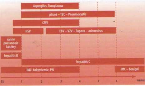 varicella/herpes zoster. Velmi rizikovou skupinu tvoří nemocní opakovaně léčení pro rejekční epizody.