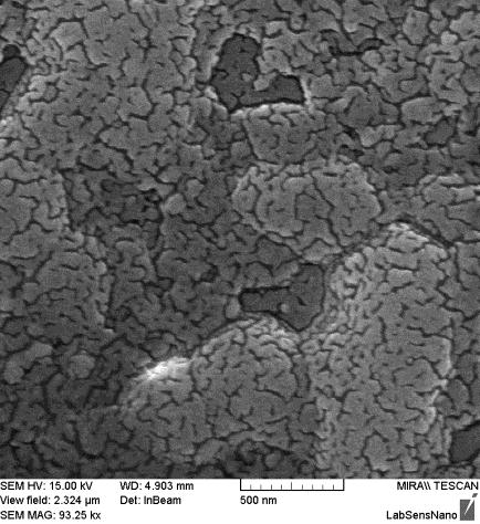 5 Atomic force microscopy We confirmed the result from SEM measurement by