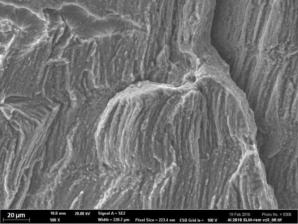Na lomové ploše lze pozorovat kolumnární zrna, jejichž přítomnost je dána epitaxiálním růstem ve směru stavby vzorku (obr. 58).