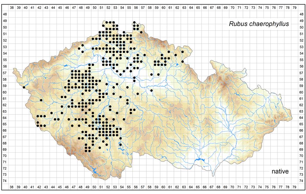 Distribution of Rubus chaerophyllus in the Czech Republic Author of the map: Bohumil Trávníček, Jiří Zázvorka, Petr Havlíček, Vojtěch Žíla Map produced on: 26-10-2018 Database records used for