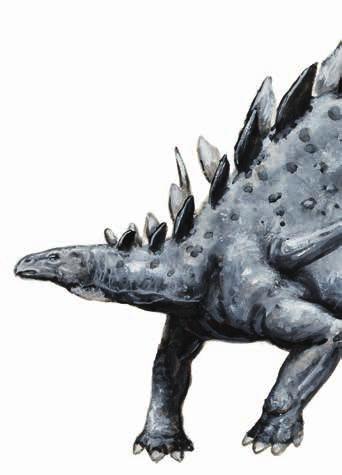 Kentrosaurus aethiopicus pichlavý mrzout Kentrosauři jsou menší afričtí příbuzní známějšího stegosaura.