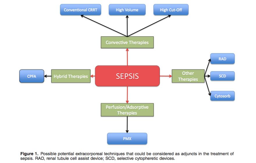 Extracorporeal Renal Replacement Therapies in the treatment of sepsis Quelle : 2015_Forni LG, Ricci Z, Ronco