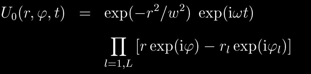 STRUKTURA VÍRŮ STEJNÉHO TOPOLOGICKÉHO NÁBOJE Pro jednoduchost budeme předpokládat, že gaussovský svazek nese L vírových fázových defektů stejného topologického náboje m = 1.