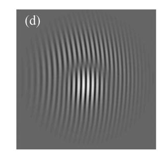 4 je znázorněn vývoj optického dipólu při šíření volným prostorem pro případ, kdy vírová centra jsou v rovině pasu natolik blízká, že splňují podmínku vzájemné anihilace ( x / w = 0,4).