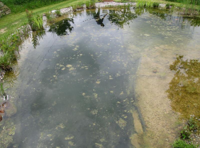 Koupací jezírko - biotop rodiny Nöhrer-Igler: Jezírko se nachází na jižní straně domu. Má plochu hladiny cca 70 m², obsah cca 50 m³. Biotop má mělkou vodní zónu a cca 2 m hlubokou koupací zónu.