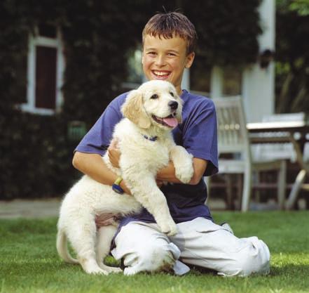 V zimû se brodí snûhem, v létû se koupají v zahradním bazénku, jsou stále v pohybu a sr í zdravím a vitalitou. Veterináfi je pro nû ãlovûk neznám.