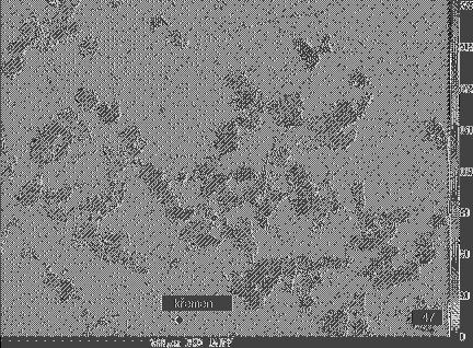 Charakteristika vybraných minerálů 46 Obr. 24 BSE zobrazení křemene s uzavřeninami chloritu (světlý). 7.7 Stilpnomelan Fylosilikát s velmi variabilním složením a složitou strukturou.