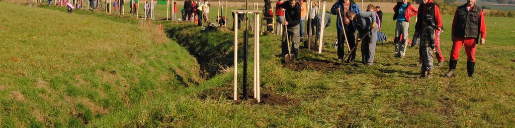 výsadby a údržba veřejné zeleně, zachování biodiverzity, řešení odpadového hospodářství, ochrany ovzduší a ochrany vod, rozvoje environmentálně šetrného životního stylu atd.