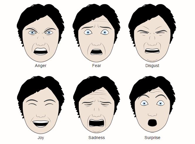 53 Příloha č. 2: Šest základních emocí (Obrázek) Zdroj: The Grimace Experiment.