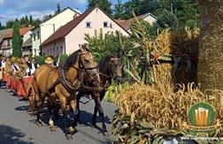 května OLEŠNICE