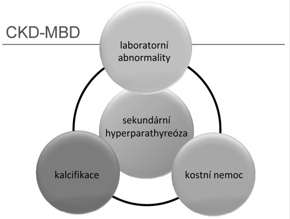 Obrázek č.1.