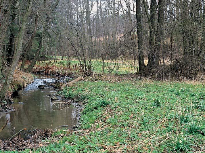 Mastnice Louky a ol iny v údolí potoka Mastnice,2 km jiïnû od obce Îitná a,2 km severnû od obce Tfiebanice.