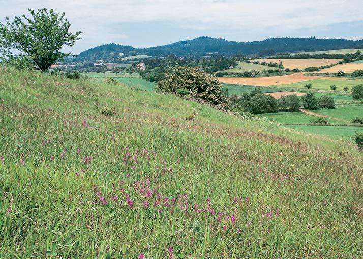 Okres Prachatice Háje Dva v razné vápencové pahorky 0,45 km severov chodnû a 0,35 km v chodojihov chodnû od obce On ovice.