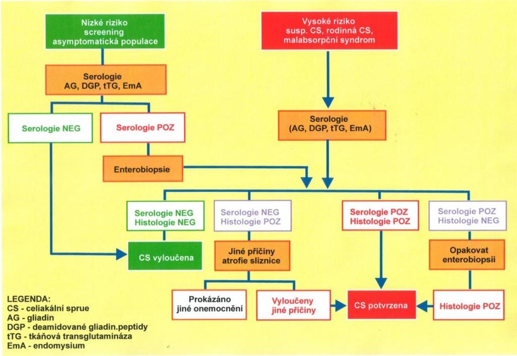 Obrázek 9 Doporučený postup pro testování celiakie (TEST-LINE s.r.o.) (http://www.test-line.cz/file/988/gliadin%20letak%20100907.pdf) 1.9.1 Biopsie Tento postup je označován jako tzv.