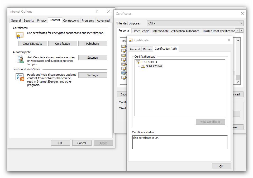 6.2 Testovací prostředí Přístupové údaje DNS jméno URL kontext služby Certifikační autorita přístupového certifikátu URL odkazy služeb https://t-ws.cssz.