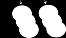 pouze chromosomy 18) Diploidní  pouze chromosomy 18) Amphitelické připojení v metafázi