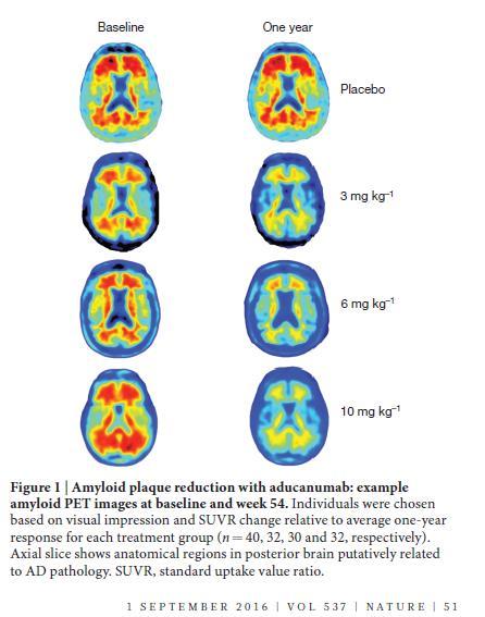 C o m p o s ite S U V R A d ju s te d m e a n c h a n g e fro m b a s e lin e ( S E ) Redukce amyloidu (přikrášlená) A d u c a n u m a b (m g /k g ) A d u c a n u m a b (m g /k g ) 0.