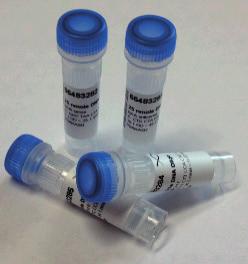 OLIGONUKLEOTIDY / QPCR PRÓBY / GENY / G-BLOKY INTEGRATED DNA TECHNOLOGIES () Integrated DNA Technologies () je předním výrobcem oligonukleotidů na světě.