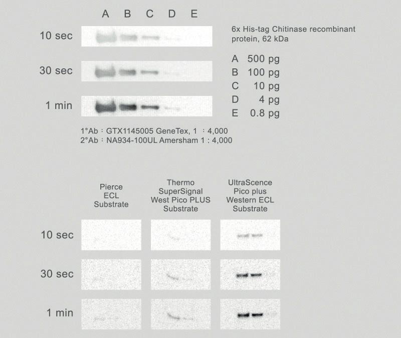 xgen Inherited Diseases Panel Panel obsahuje více jak 116 350 individuálně syntetizovaných prób (5' biotinylovany 120 mer) s QC certifikatem.
